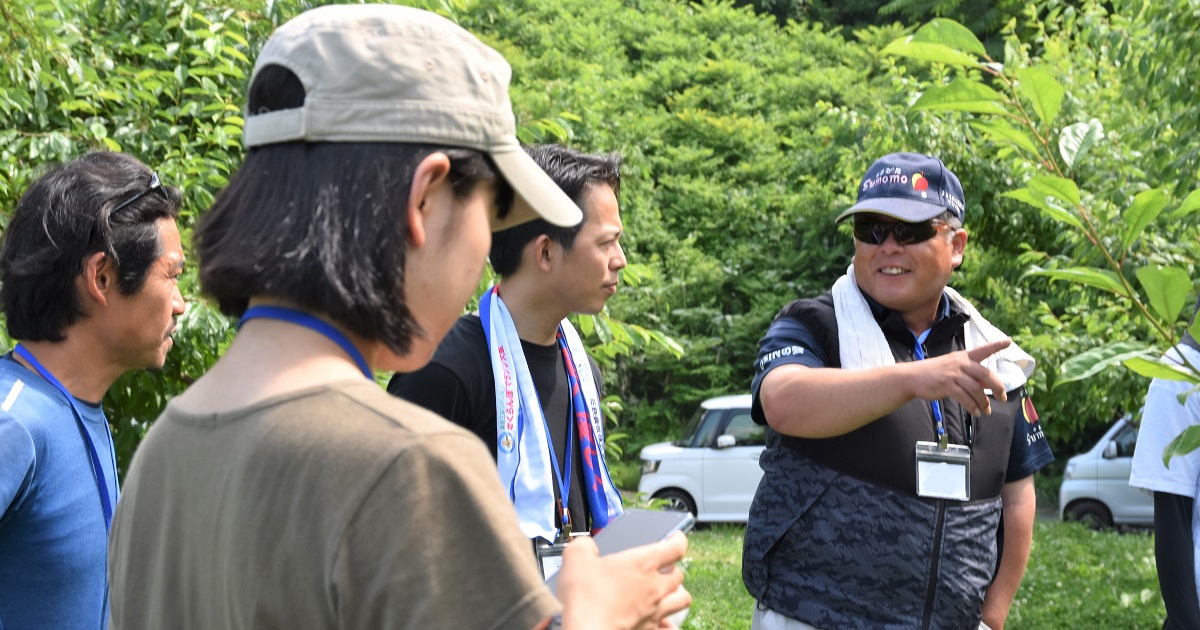 スモモの園地を見学